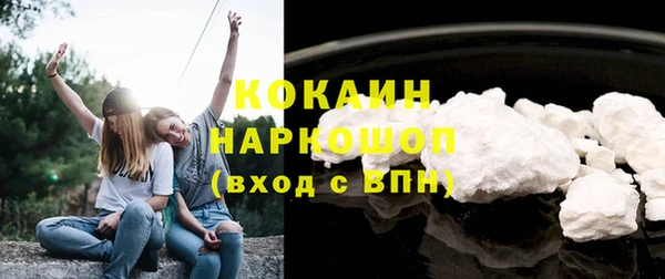 шишки Козельск