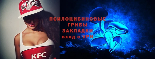 спиды Костерёво