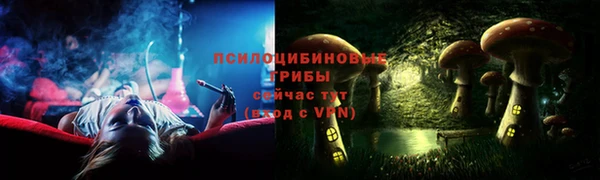 спиды Костерёво