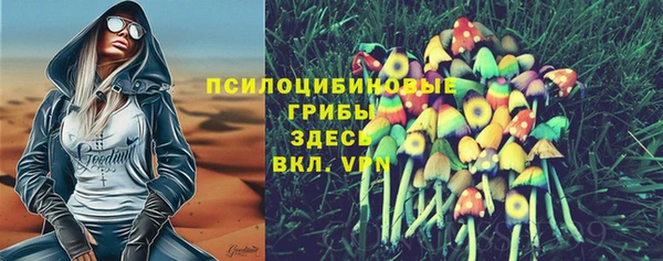 соль ск Корсаков