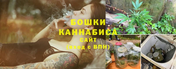 первитин Коряжма