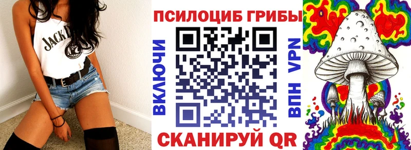 Купить  Болхов  Галлюциногенные грибы Cubensis 
